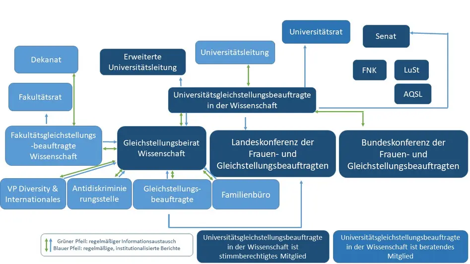 Das Bild ist ein Organigramm der Arbeit der Universitätsgleichstellungsbeauftragten in der Wissenschaft.