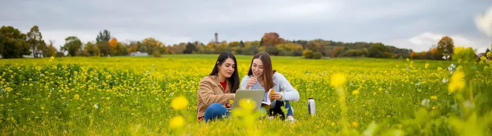 Studierende lernen auf einer Frühlingswiese