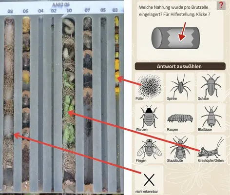 Design ohne Titel - 1