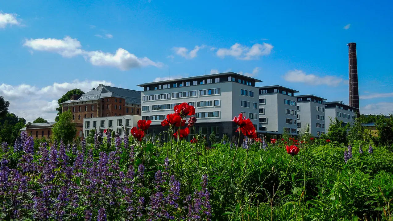 Universitätsgebäude auf der ERBA-Insel im Sommer