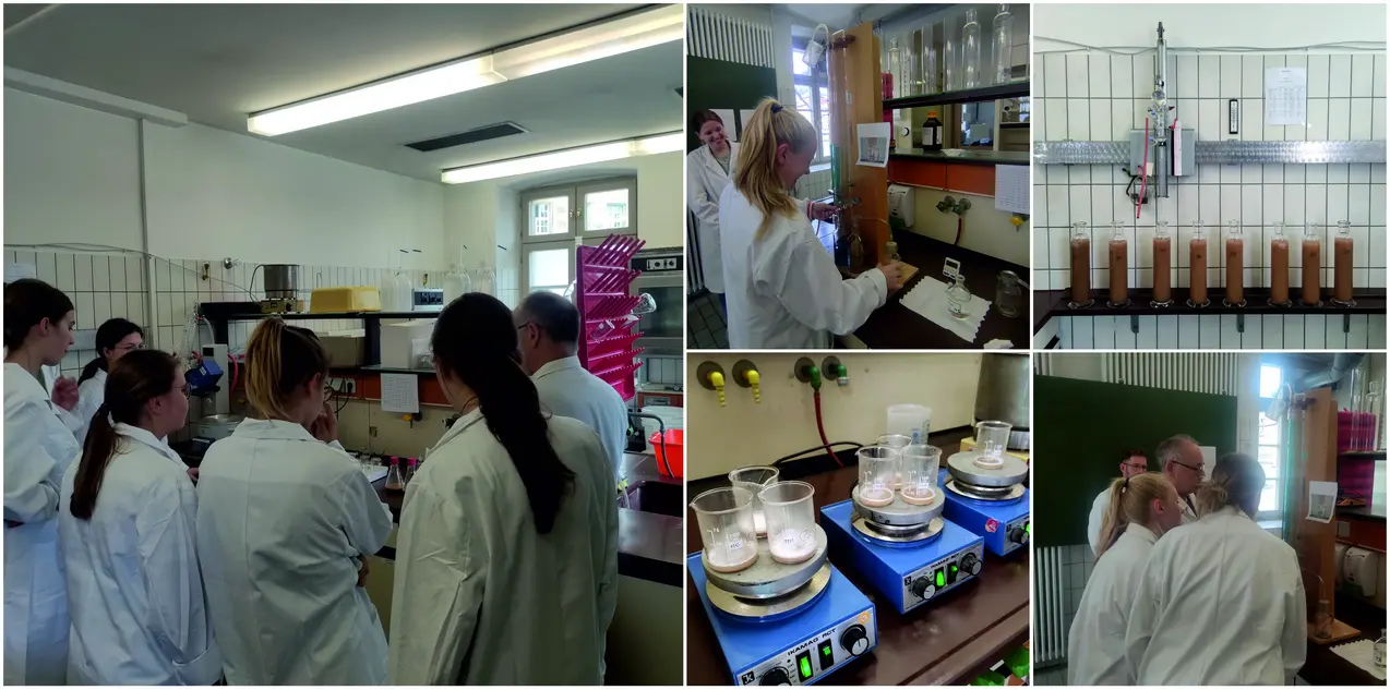 Laborpraktikum SS2025