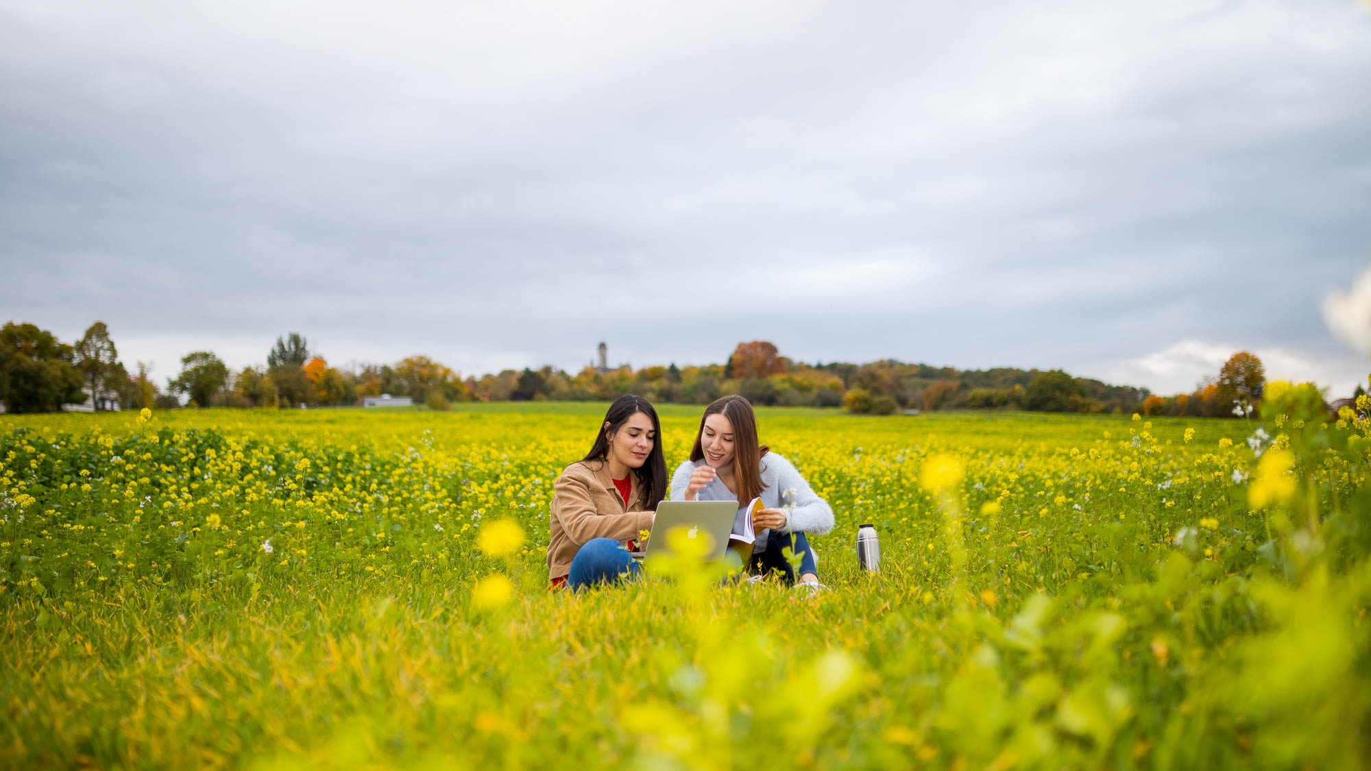 Lernen im Frühling Studierende lernen auf einer Frühlingswiese
